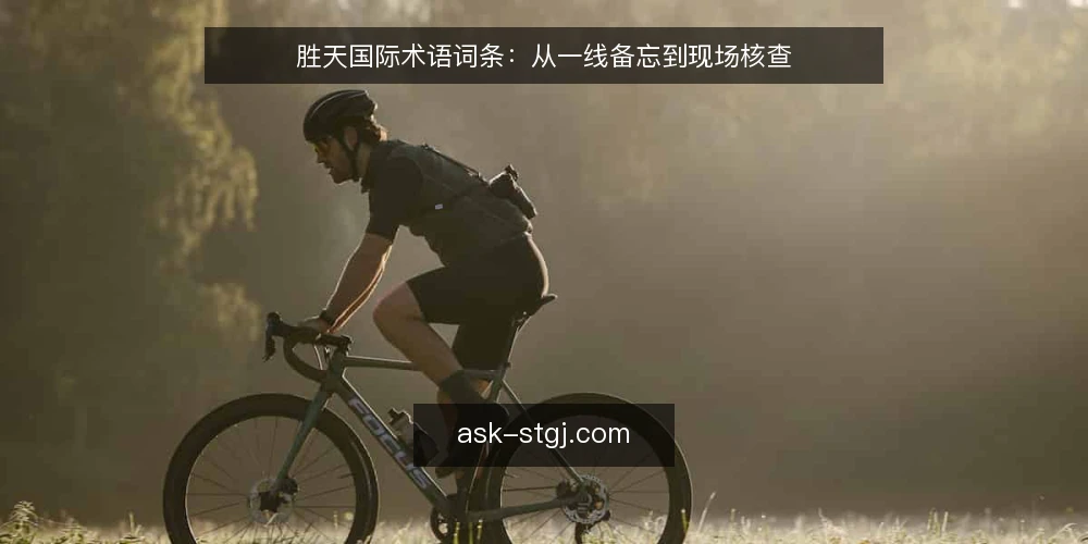 胜天国际术语词条：从一线备忘到现场核查 — 信号观察：术语在现场的显现 配图