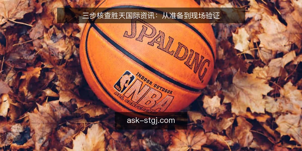 三步核查胜天国际资讯：从准备到现场验证 — 为什么需要核查胜天国际资讯？ 配图