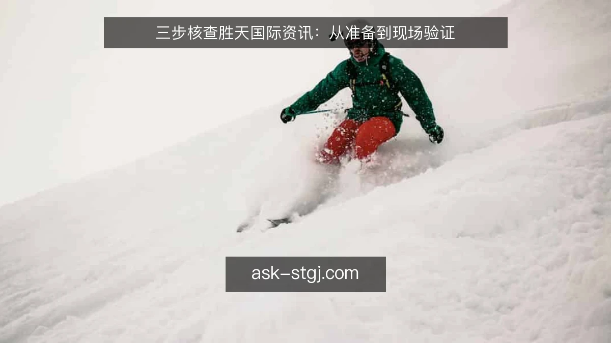 三步核查胜天国际资讯：从准备到现场验证