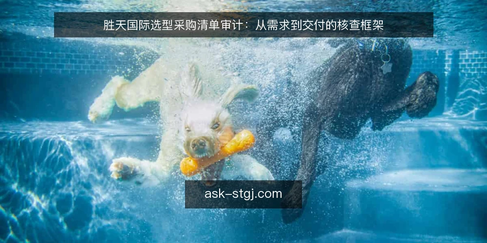 胜天国际选型采购清单审计：从需求到交付的核查框架 — 为什么现在需要做选型审计 配图