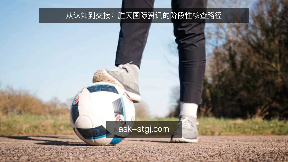 从认知到交接：胜天国际资讯的阶段性核查路径